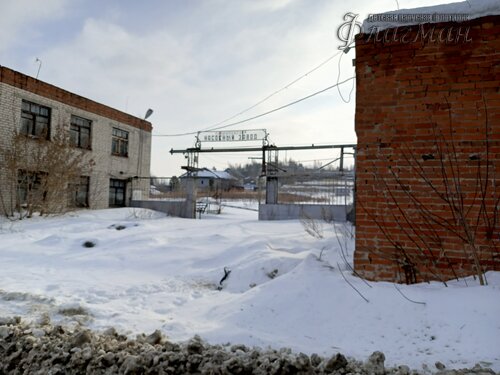 IMG_20260314_095852_286